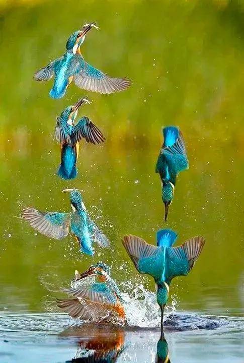 东非锦标赛赛事精彩绝伦，势不可挡的简单介绍