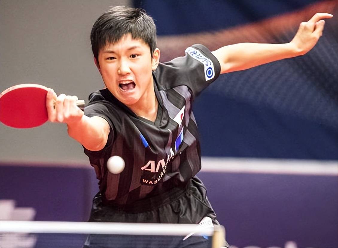 包含法国乒乓球队完胜比利时乒乓球队，张本智和送出助攻的词条