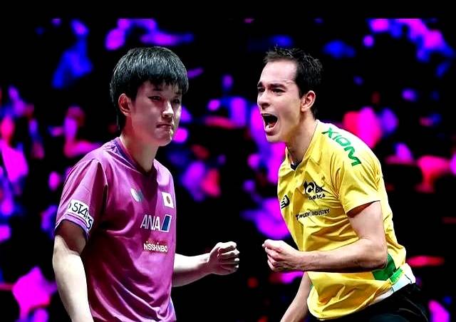 包含法国乒乓球队完胜比利时乒乓球队，张本智和送出助攻的词条