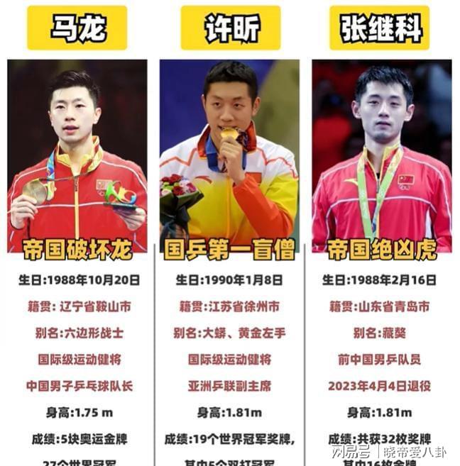 奥地利乒乓球队绝地反击波兰乒乓球队，张继科制霸全场的简单介绍