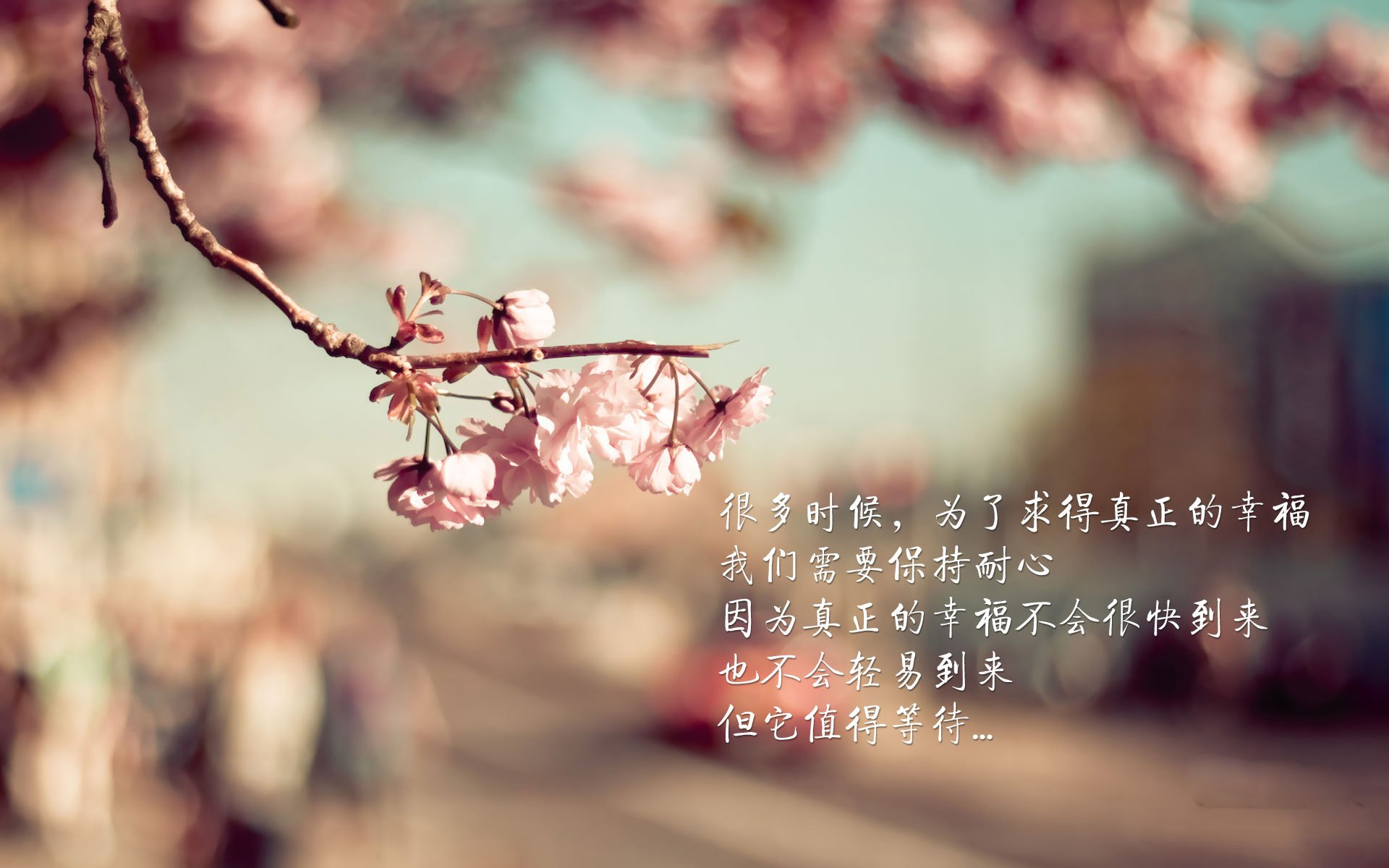 世界排名争夺战，贝蒂斯关键一役突围希腊，引爆欧洲足坛焦点