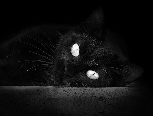 抢七之夜，蒂亚戈的证明之战