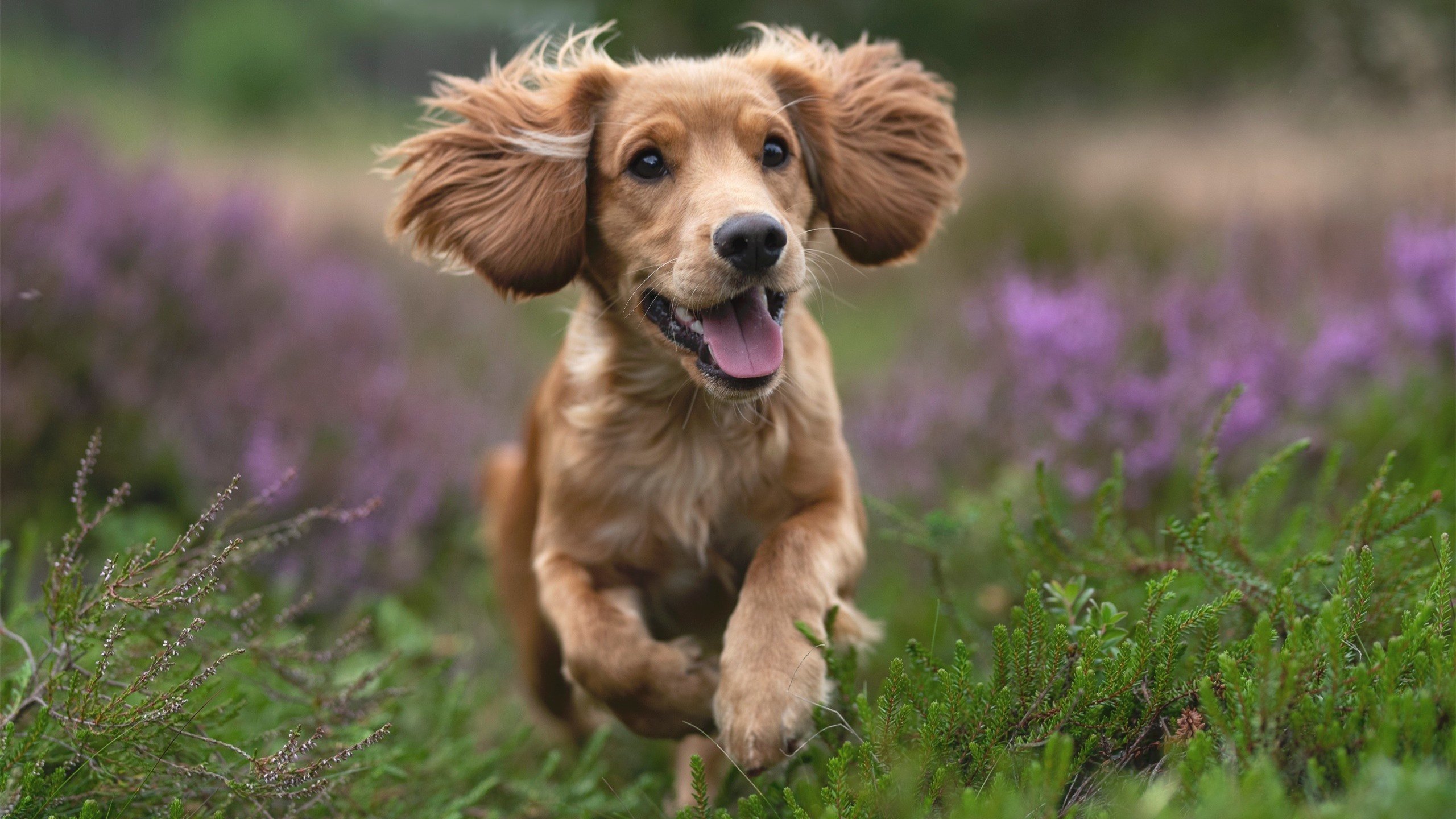 广东队得分潮压制开拓者,爱德华兹狂飙带队逆转取胜