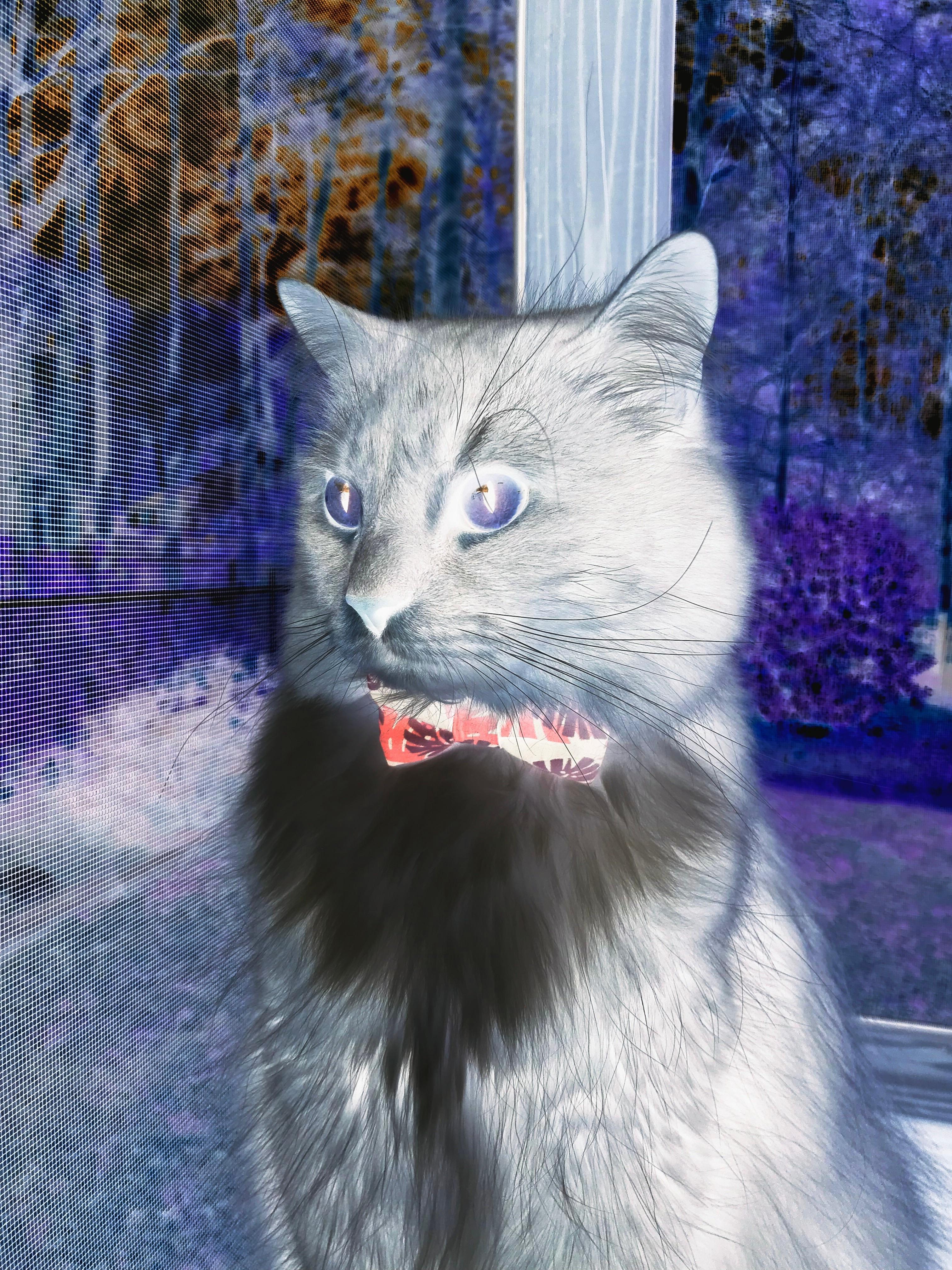 淘汰赛基因,从欧冠硝烟到雄鹿突围,绝境淬炼冠军之心