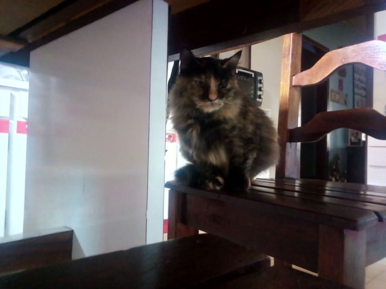 迪马利亚魔翼展翅,里昂客场碾压多特蒙德