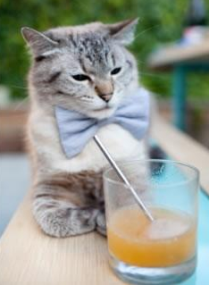 团队的雷霆,字母的史诗,两种胜利的锋利棱角