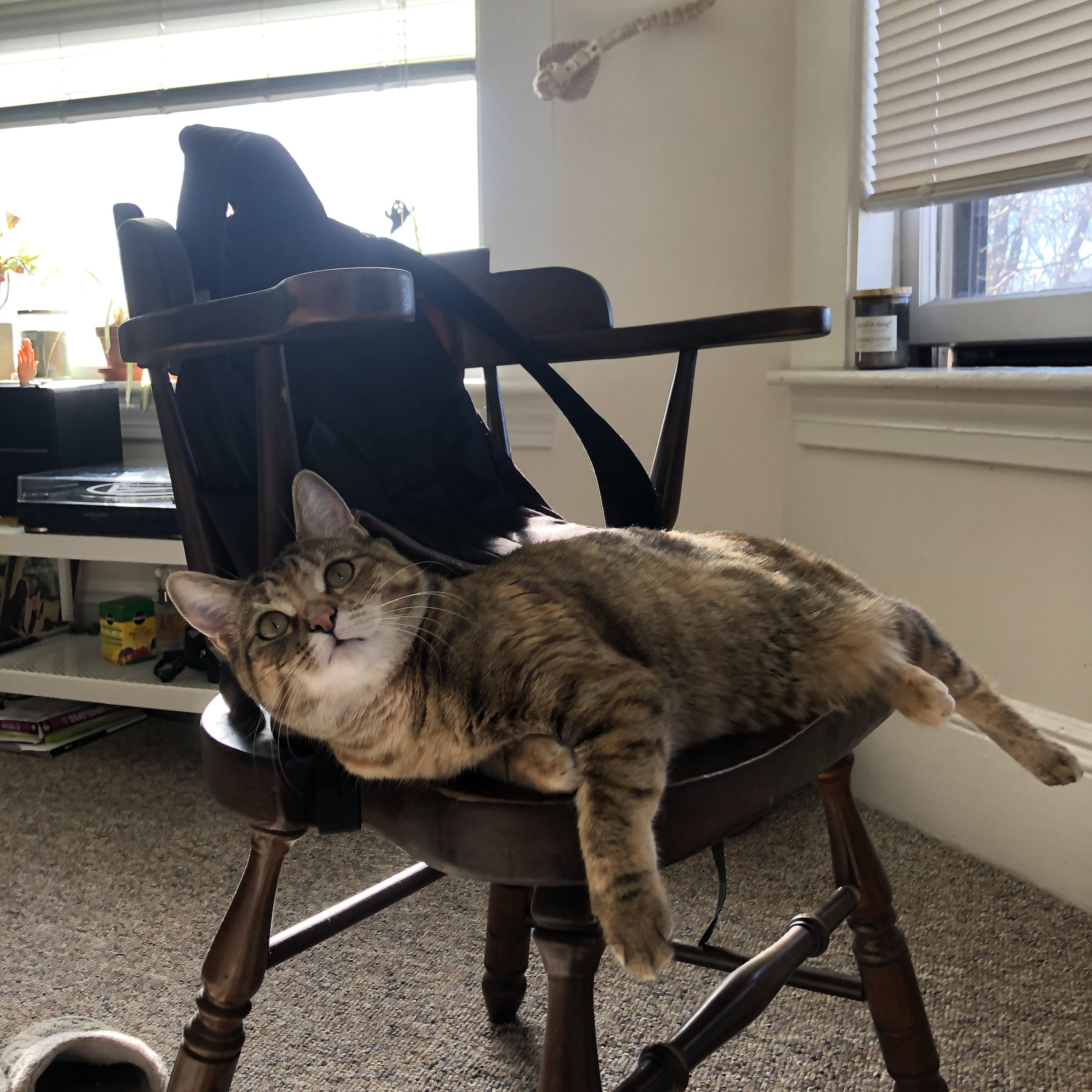 巴尔韦德爆发，韩国铁骑正面击溃皇家社会，书写亚洲足球震撼诗篇