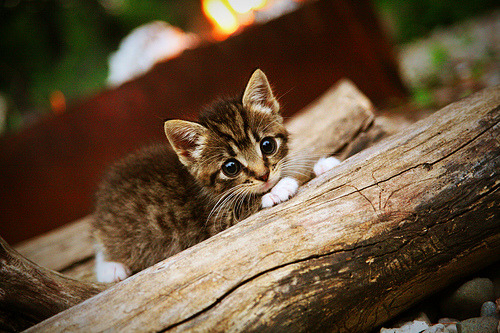 老特拉福德之夜，曼联血拼利物浦的季后赛抢七焦点战