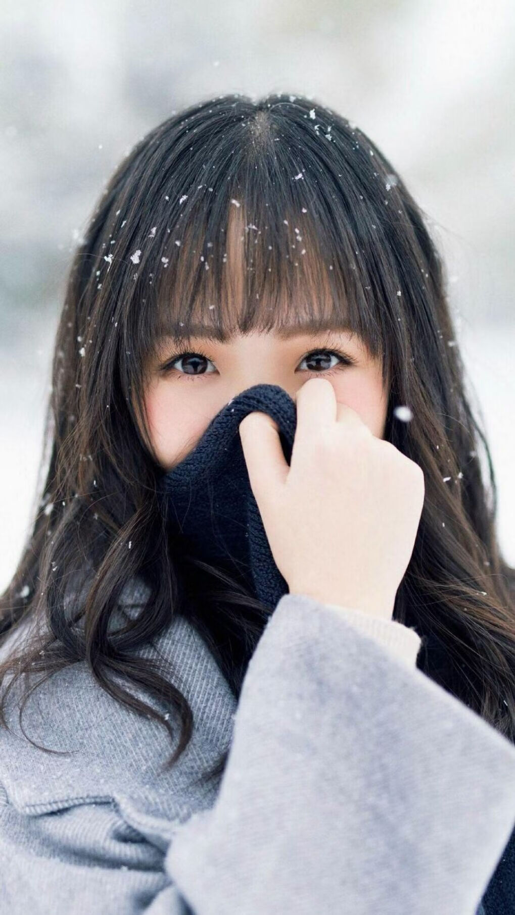 广东队精密机器斩落吉林虎，晋级之路彰显冠军底蕴