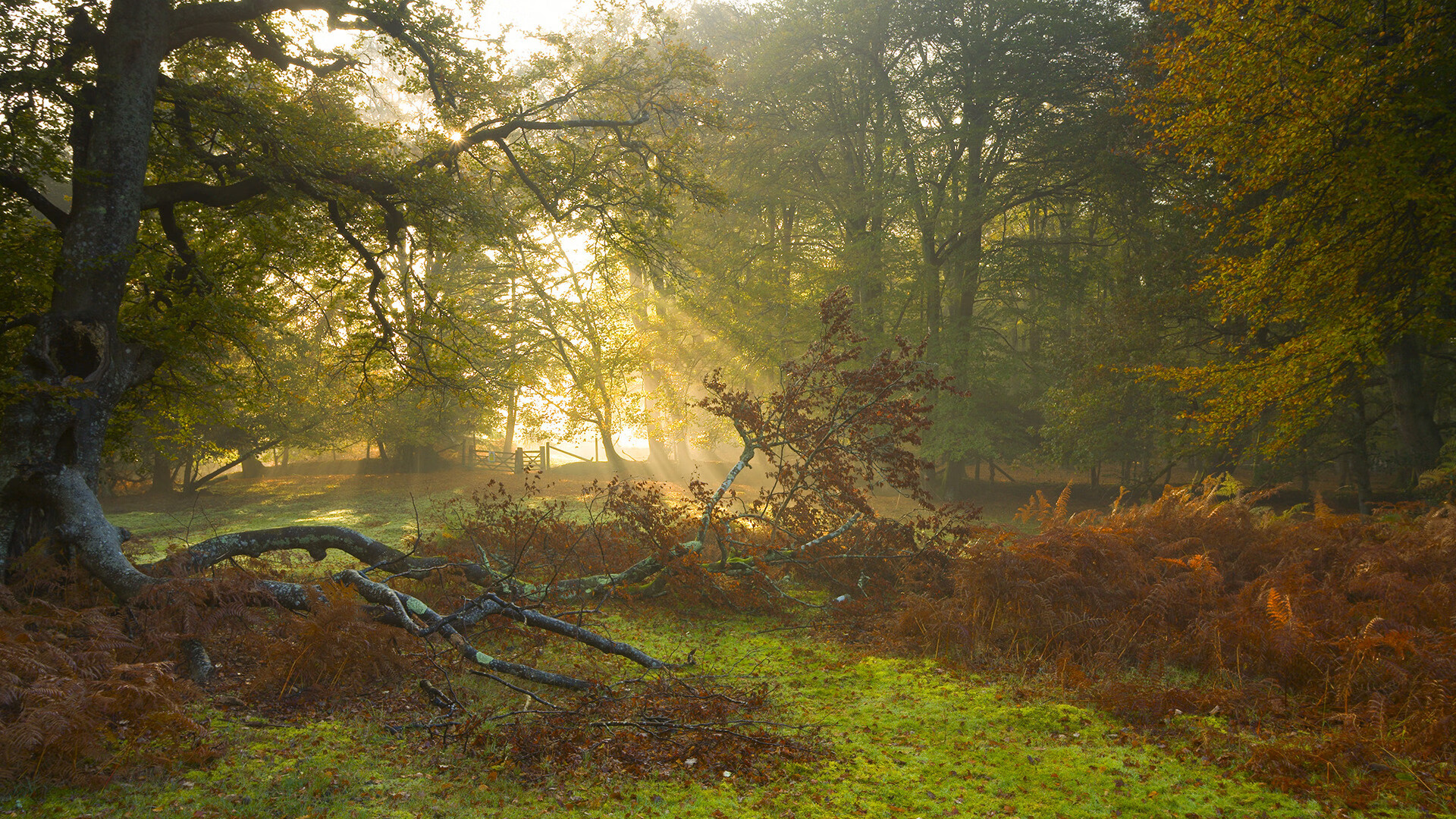 凯塞多绝杀!加拿大末节逆转沙特,关键先生一球定江山