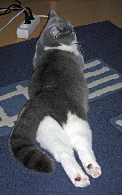 奇才狂胜绿军创赛季最大冷门！哈登全能数据获评满分