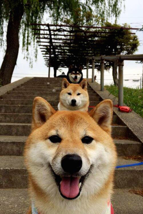 静默与爆发，当生死战的指针在基米希脚下校准