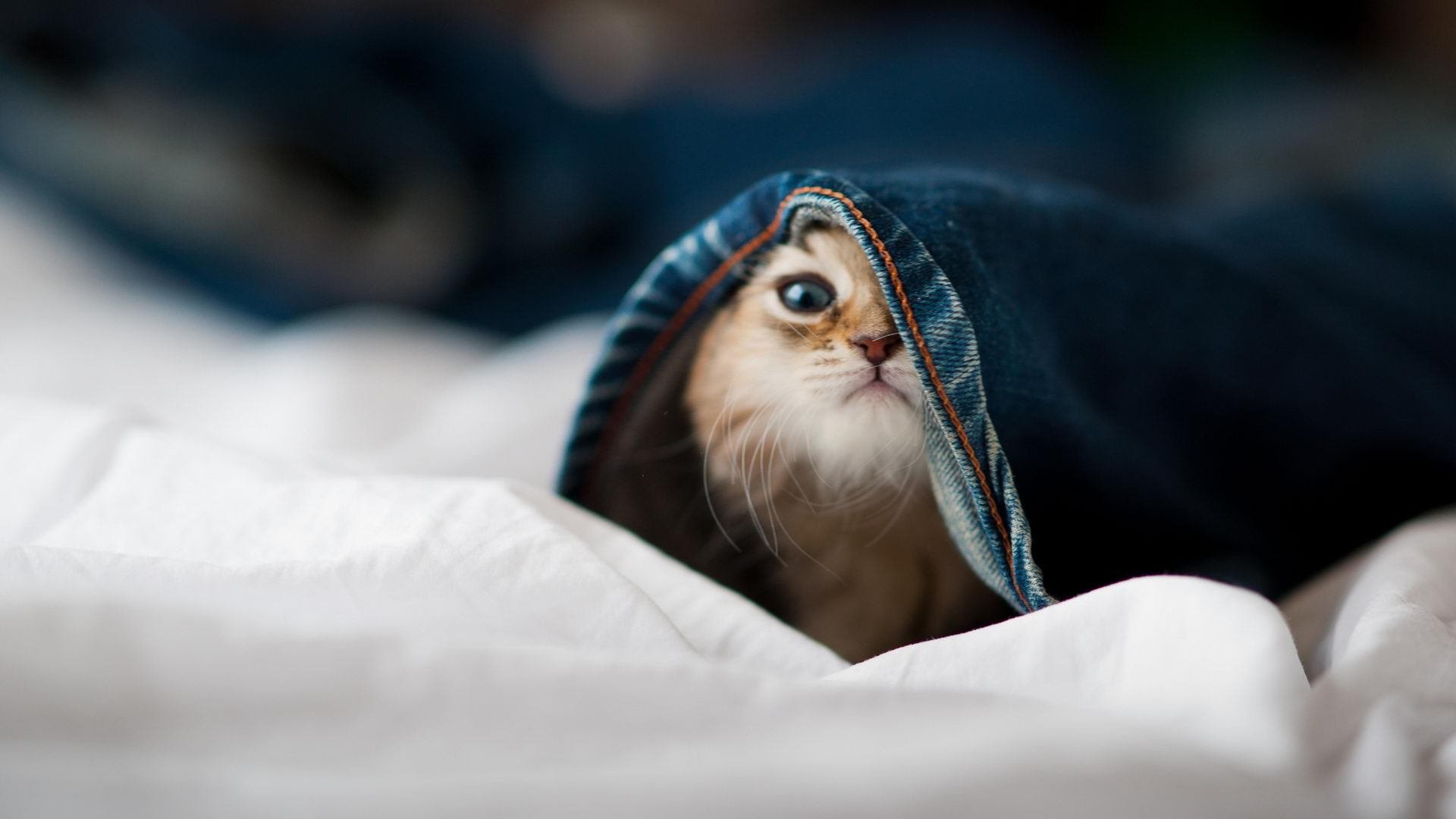 团队血性与个人神迹，接管比赛的双重变奏