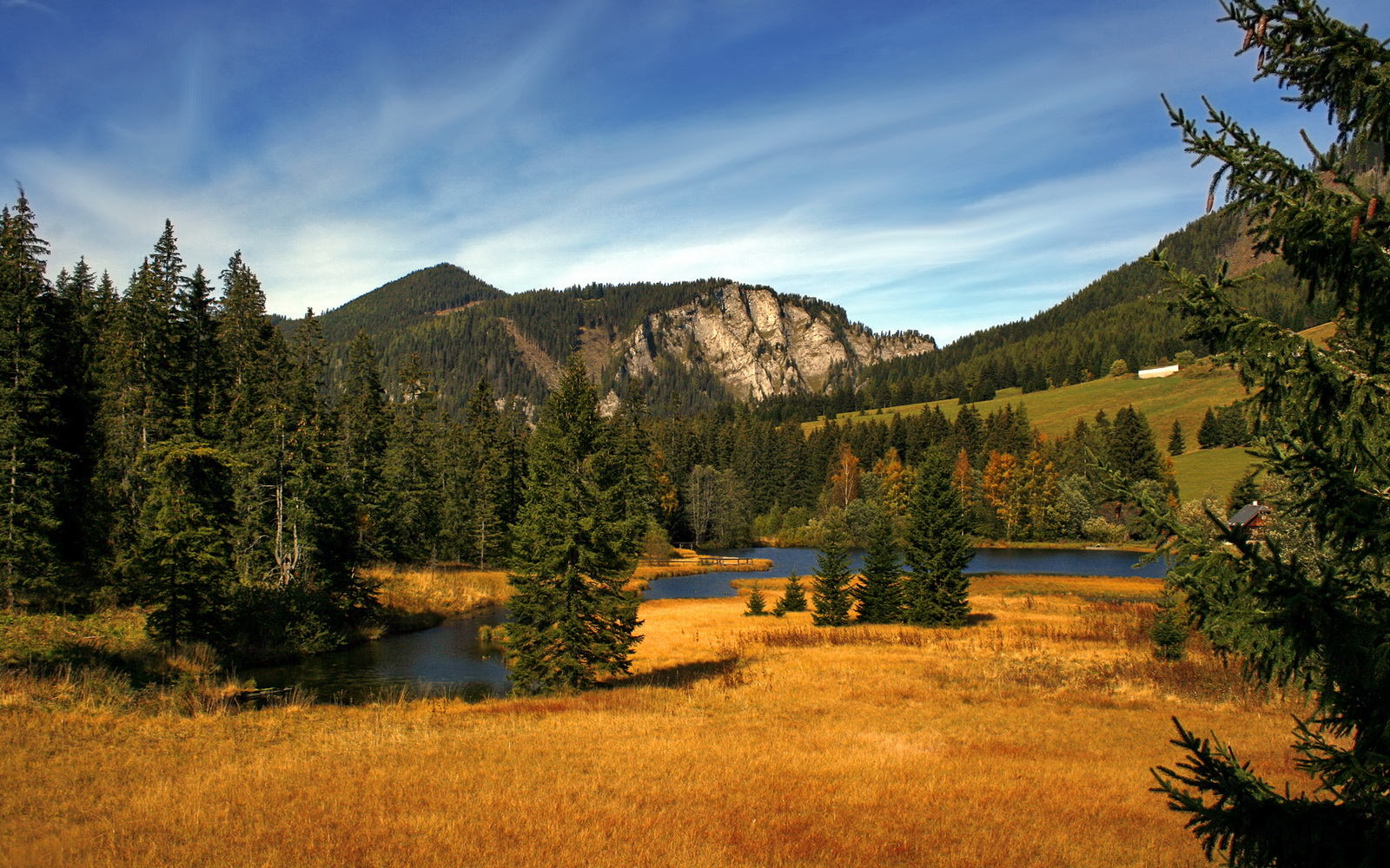 帕尔默一剑封喉!塞维利亚热身赛力克安哥拉,新核关键战尽显大心脏