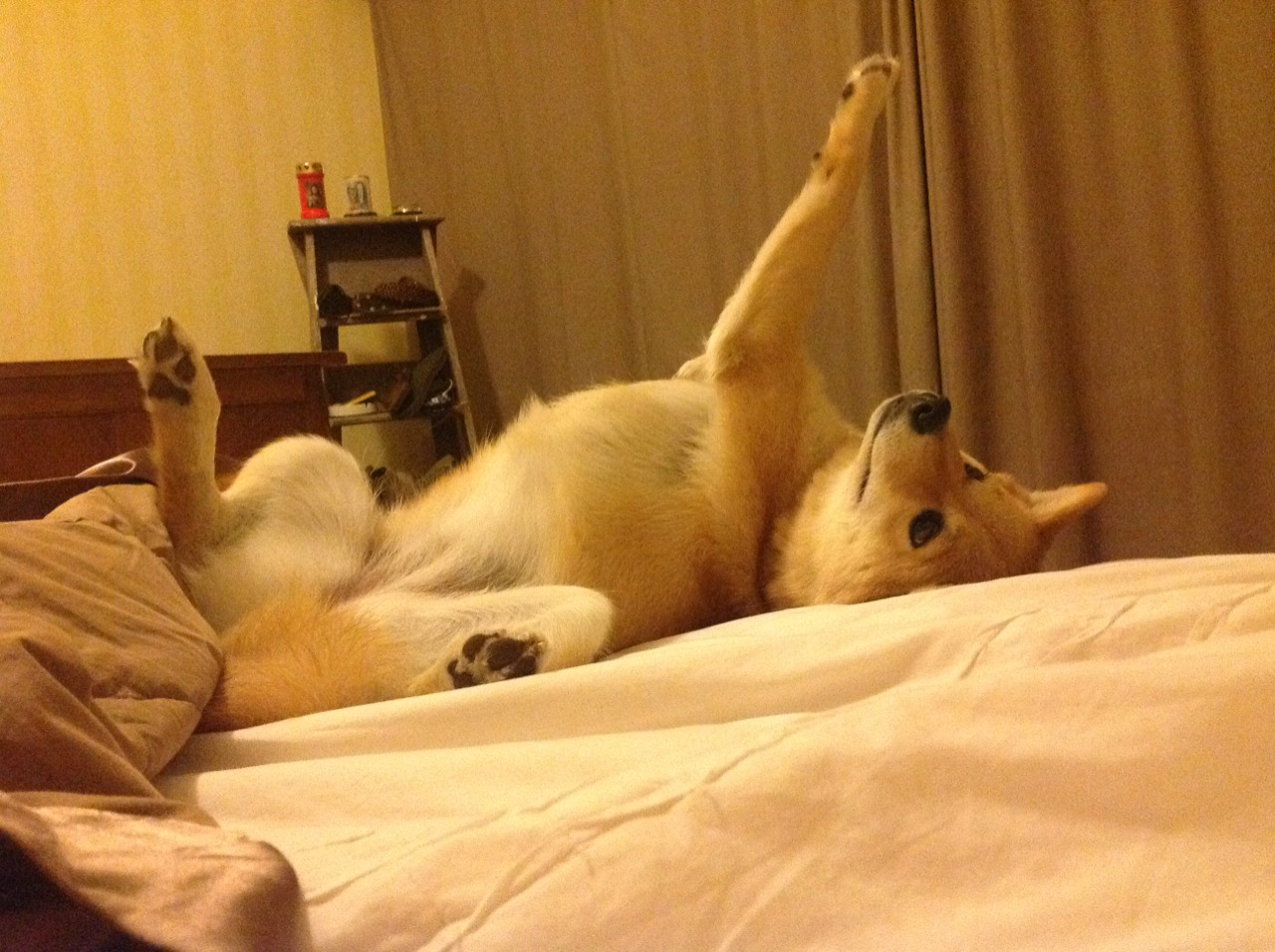 鹰击长空,杜兰特死神降临独行侠,老鹰完成完美粉碎战